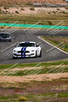 media/Feb-25-2024-Speed Ventures (Sun) [[b9a2a97a4d]]/Mustang Drivers Club/Session 3 (Turn 2)/